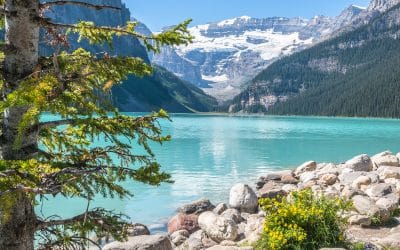 Popular Summer Destinations In Canada By Tripps Now