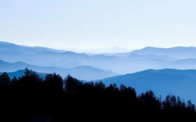 Tripps Now Explores Pigeon Forge in the Smoky Mountains