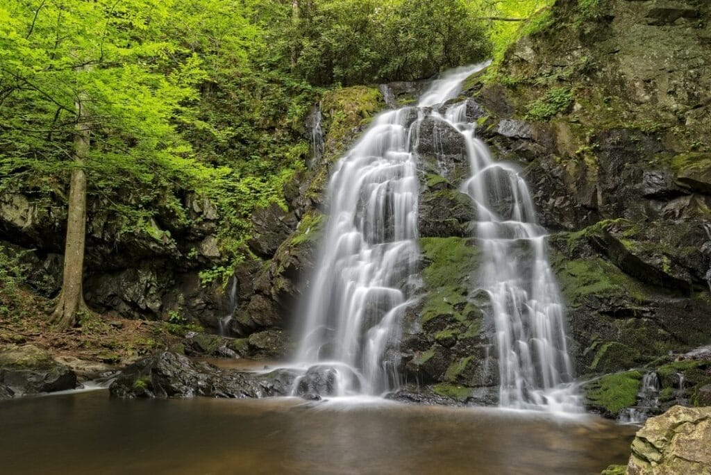 Tripps Now features waterfall scenery near Pigeon Forge as part of the natural appeal of the Smoky Mountains region.